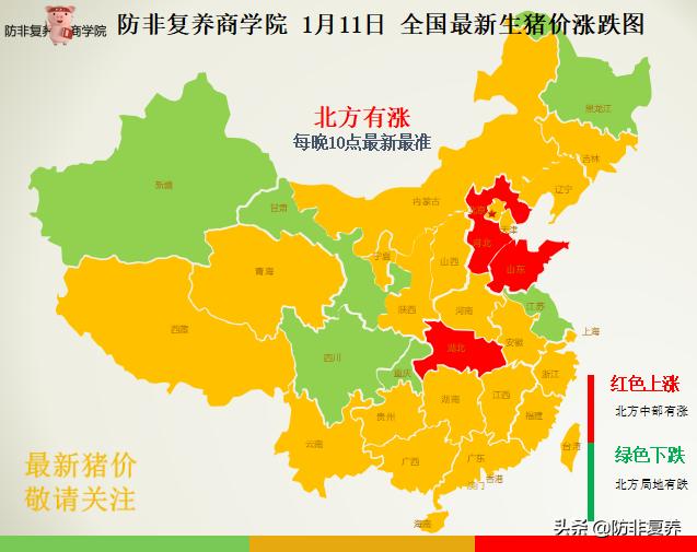 最新生豬價格走勢動態分析