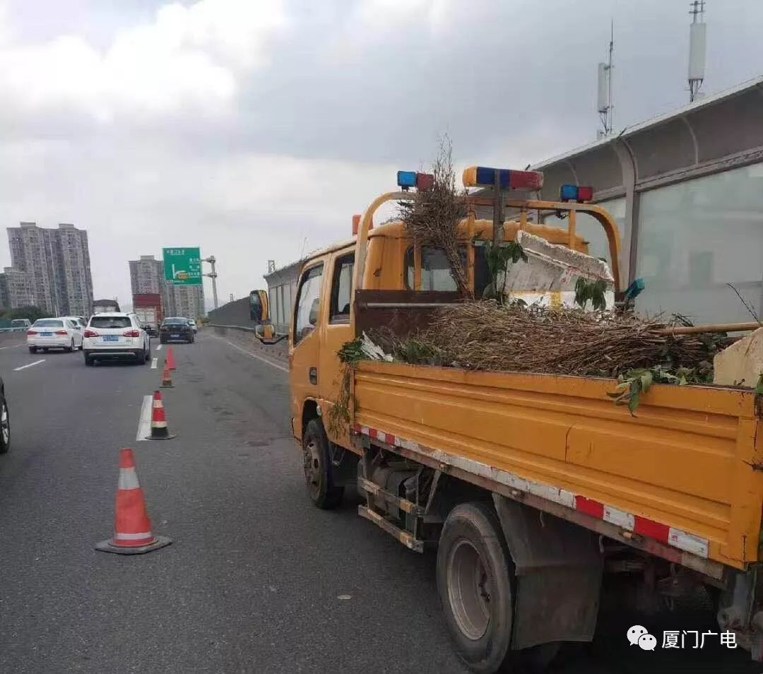 同安車禍最新消息，事故背后的深度分析與反思報告