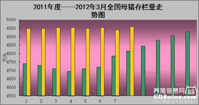 母豬存欄最新數據分析報告發布，揭示最新趨勢與洞察