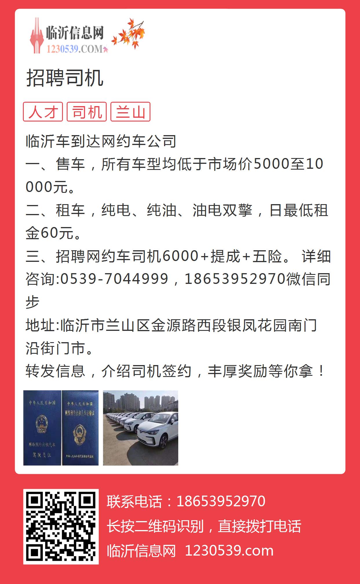 徐州司機招聘熱點，行業趨勢、需求分析與求職指南