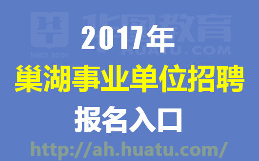 巢湖招聘網最新招聘動態深度解讀與分析