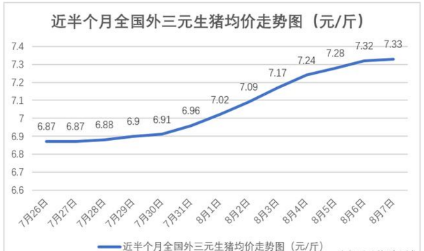 今日豬價預測及市場走勢分析與未來展望