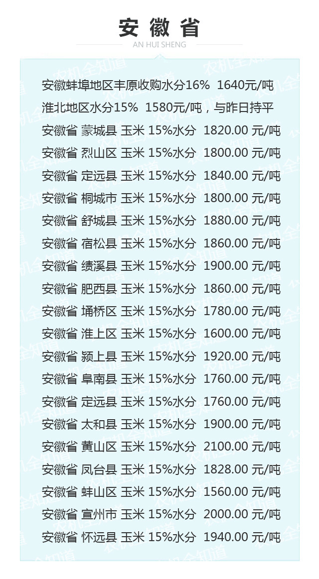 安徽今日玉米最新價格動態與行情分析