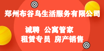 鄭州人才招聘最新動態，市場繁榮與機遇展望