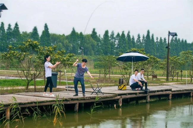 垂釣新動態與趨勢探索，最新釣魚消息速遞