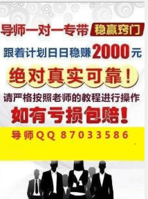 澳門天天彩精準免費資料大全,精細方案實施_專業款73.231