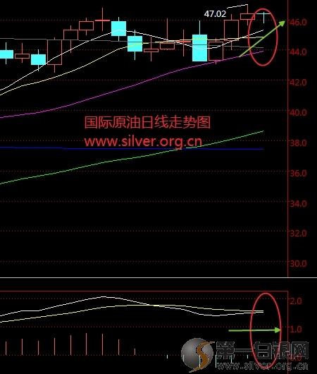 垂耳兔 第6頁