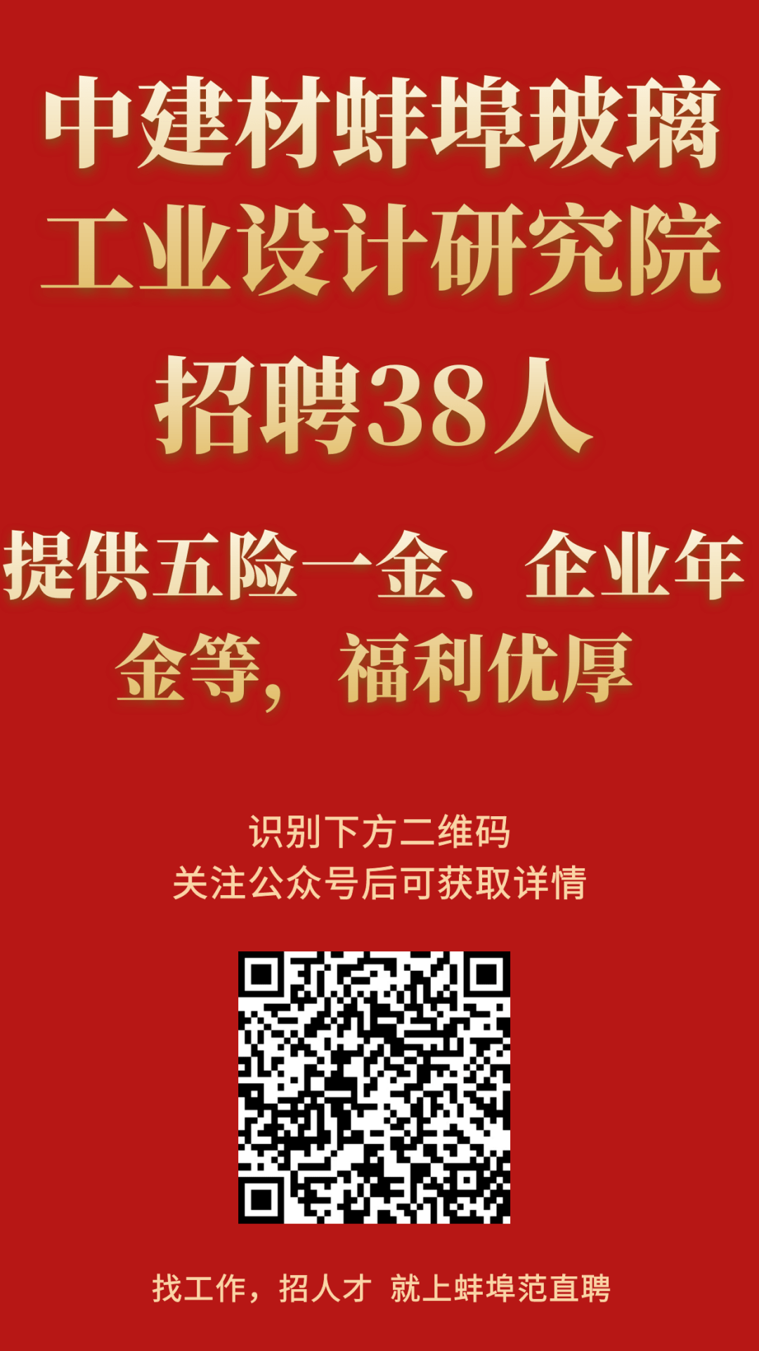 金蜘蛛最新招聘信息全面解析