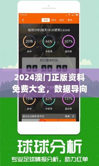 2024新澳門正版精準免費大全,實踐性方案設計_靜態版52.315