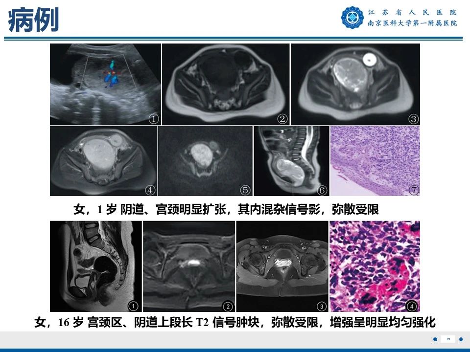 資質證書 第383頁