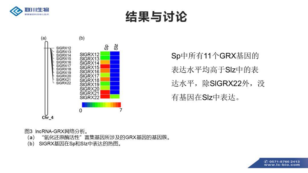 新澳免費資料,創新落實方案剖析_3DM2.627