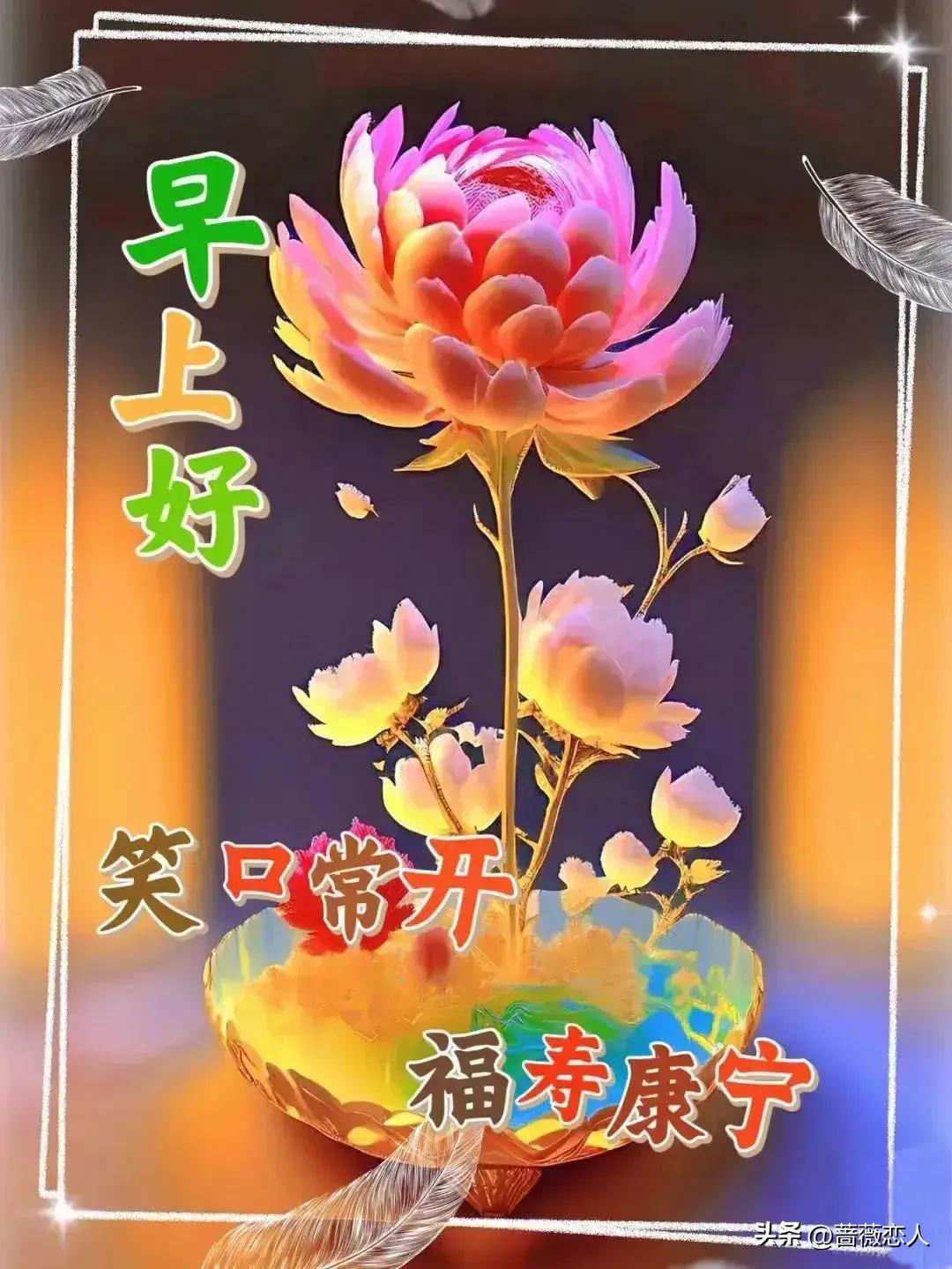 2024天天彩資料大全免費,全面數據分析方案_網紅版32.141