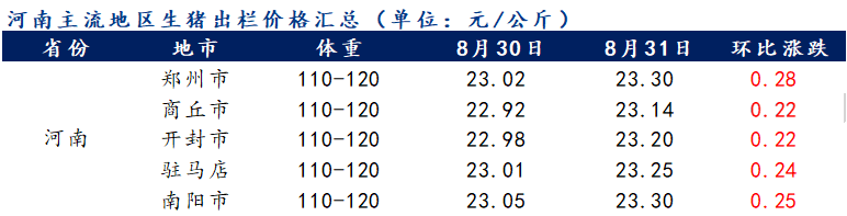 河南生豬價格今日動態更新