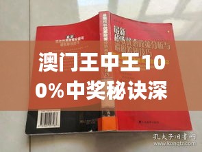 澳門王中王100%期期中,創新方案解析_標準版6.676