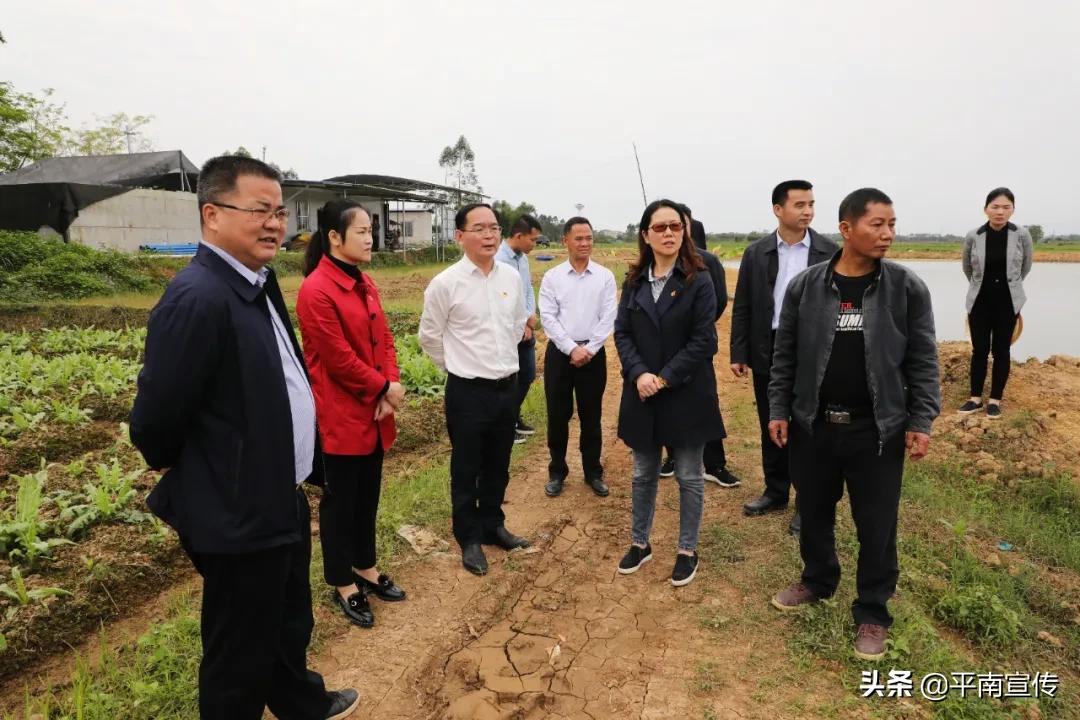 平南二橋建設進展及未來展望