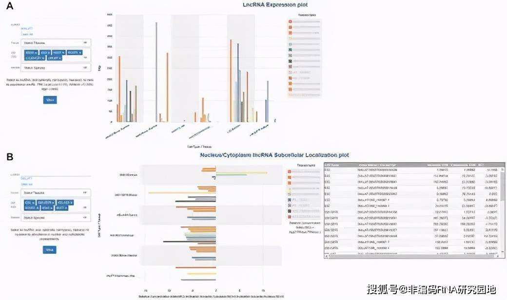 新奧內部免費資料,數據分析解釋定義_冒險版22.762