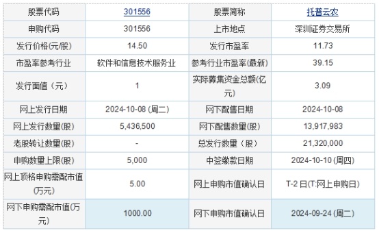 托普軟件引領技術革新，塑造數字未來新篇章