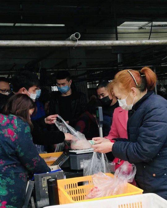 溫江金馬地區最新動態，引領城市發展的新浪潮前沿