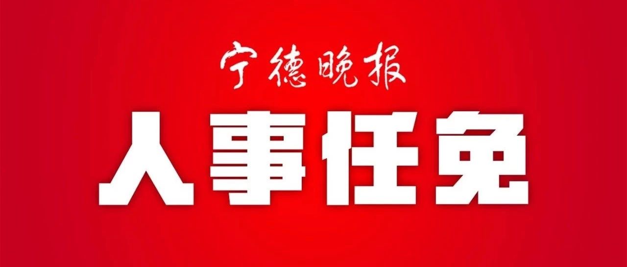 寧德人事動態更新，引領城市新發展之路