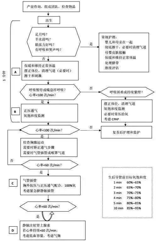 急診搶救流程圖優化，提升急救服務效率與搶救成功率