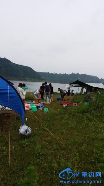 最新長壽湖釣魚論壇，垂釣愛好者的天堂