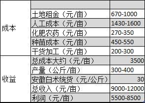 2017年白術最新價格動態與市場深度分析