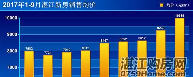 徐聞最新房價走勢與市場趨勢深度解析