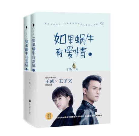 丁墨2017最新小說，探索未知的魅力和深度之旅