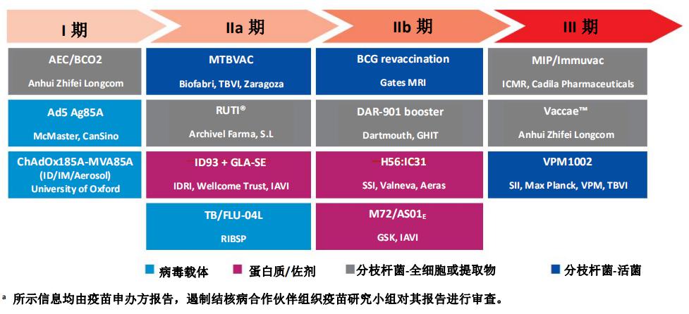 跑狗圖993994高清跑狗圖的安全性,定性評估說明_UHD16.863