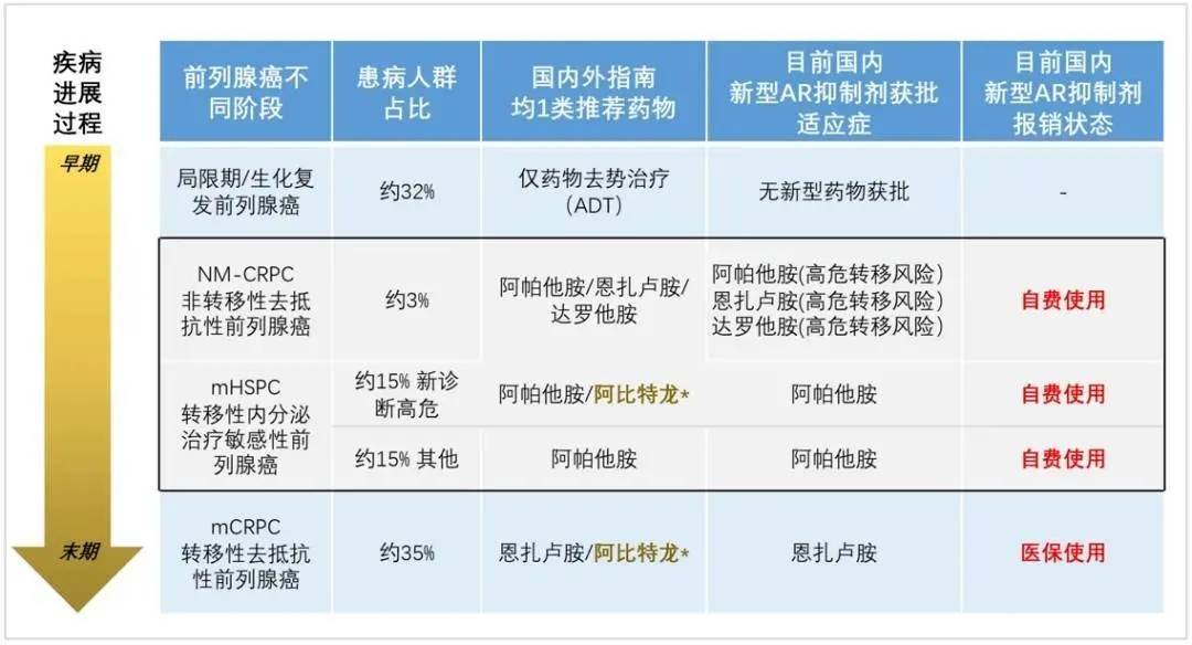 今晚必出三肖,實地評估說明_AR40.706