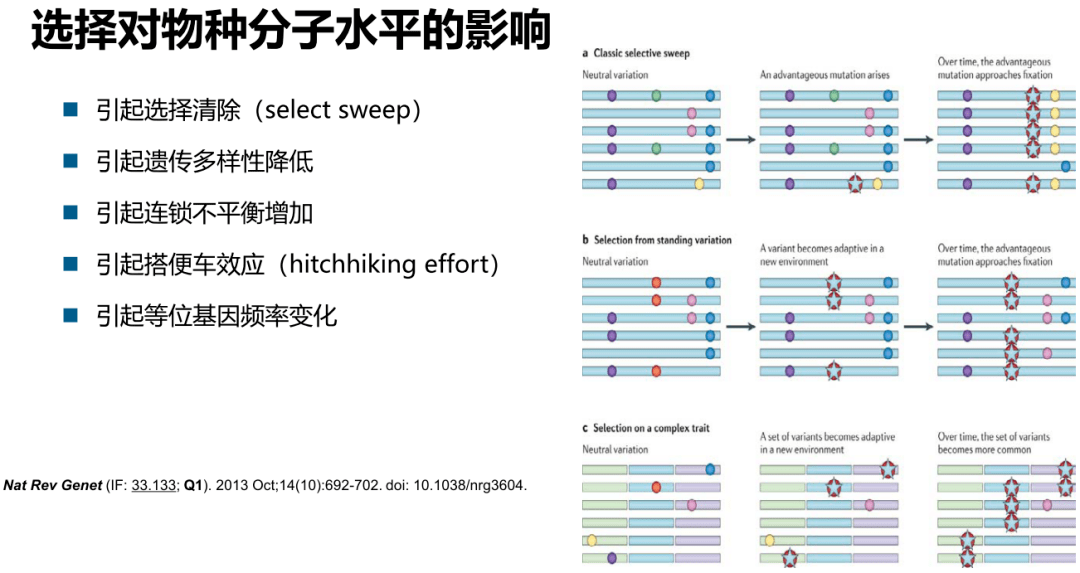 2024新奧歷史開獎記錄,靈活性策略設計_鉑金版84.405