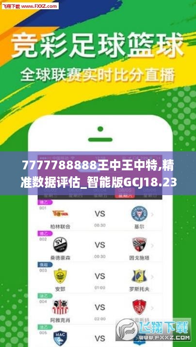 7777788888王中王中特,實地驗證分析策略_M版74.51