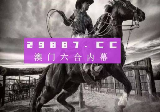 2024年今晚澳門開特馬,創新解析執行_入門版94.605