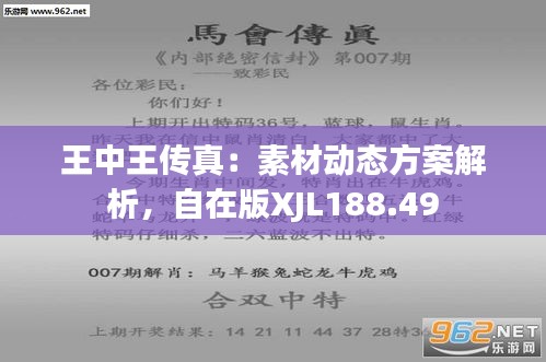 7777788888王中王傳真,專業解析說明_移動版11.29