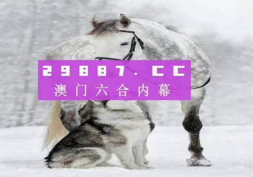 7777788888精準跑狗圖特色,深入數據執行方案_HT73.660