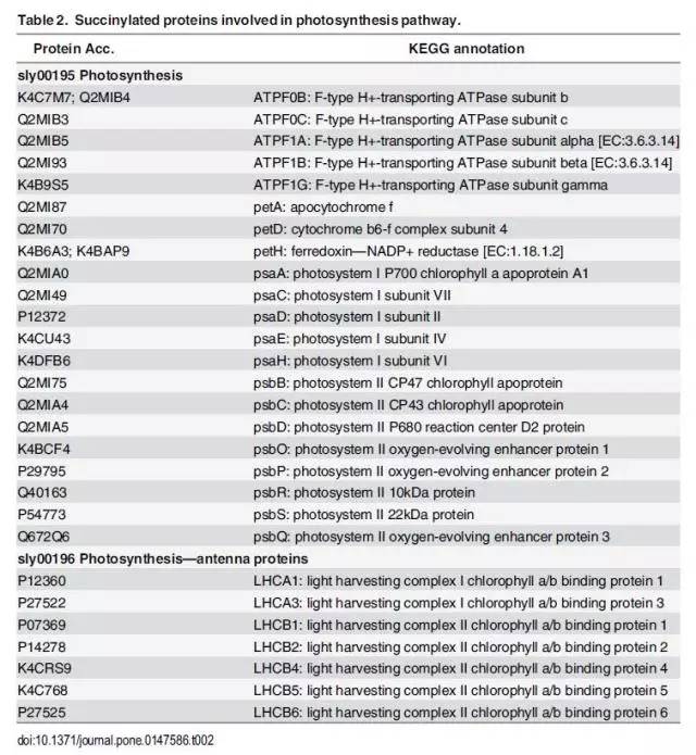 新澳全年免費資料大全,系統化評估說明_Prestige38.261