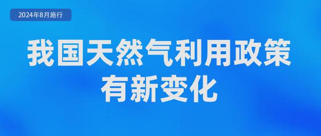 2024澳門免費最精準龍門,適用實施策略_薄荷版13.349