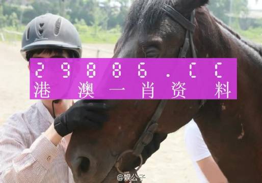 澳門一肖一碼一必中一肖同舟前進,合理執行審查_升級版49.63.83