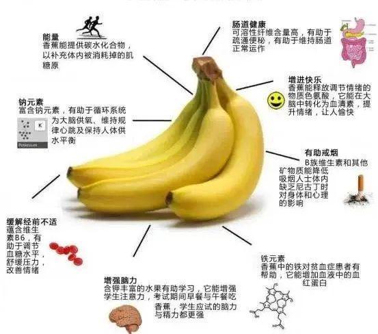 那蕉最新項目，開啟未來科技生活新篇章