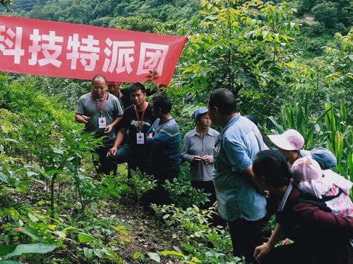 擦海村最新項目，鄉村發展典范引領之路