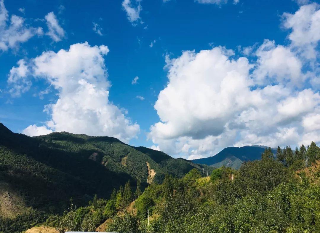 歸鳳山村委會領導團隊，引領鄉村發展的核心力量