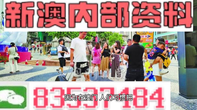 2024新澳門精準資料免費,效率資料解釋落實_豪華版6.23