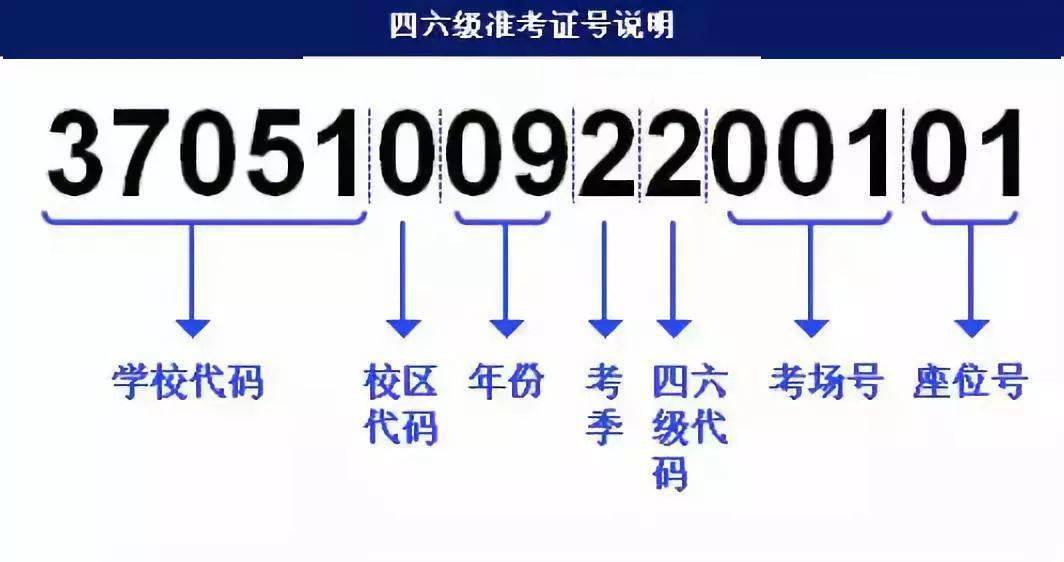 新澳最新最快資料新澳85期,快捷解決方案_The99.218