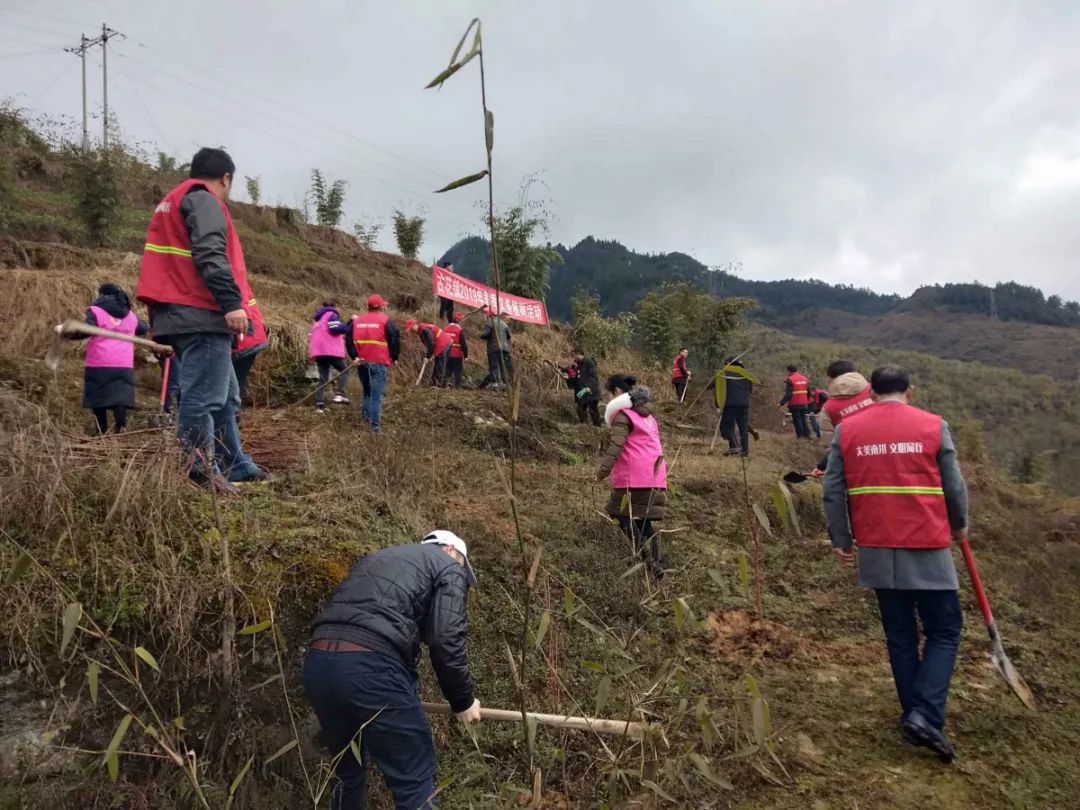 古花鎮新生機，歷史古鎮煥發新活力最新報道