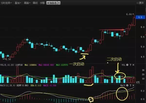 一碼一肖100%精準生肖第六,高效執行計劃設計_R版48.112