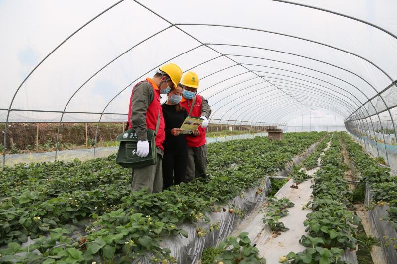 弋陽縣科技局新聞動態更新