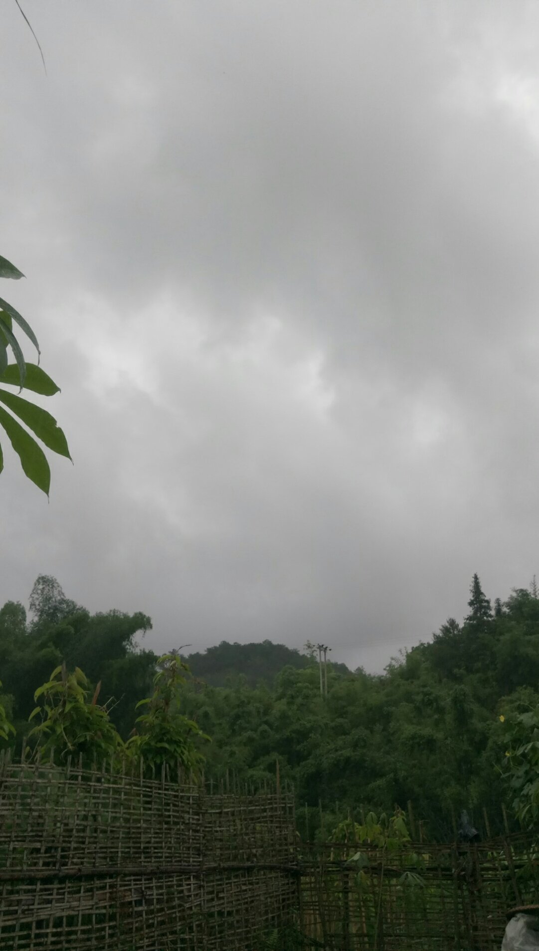 木根鎮最新天氣預報